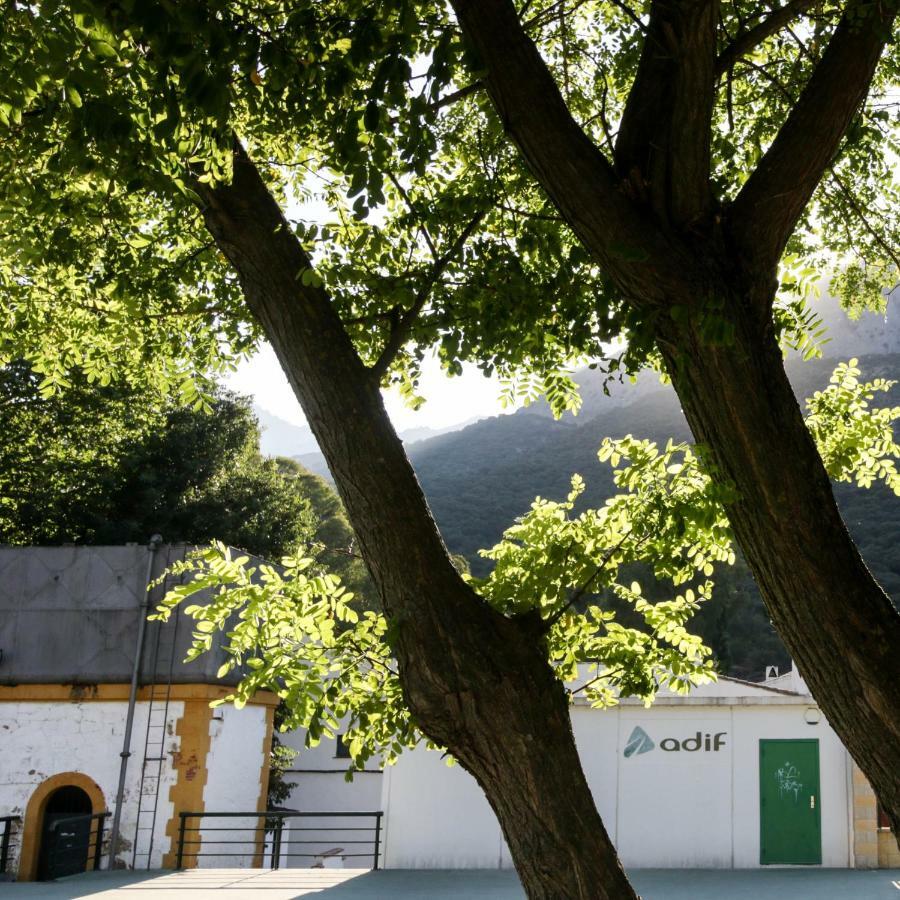 El Molino Del Panadero Pension Jimera de Líbar Buitenkant foto