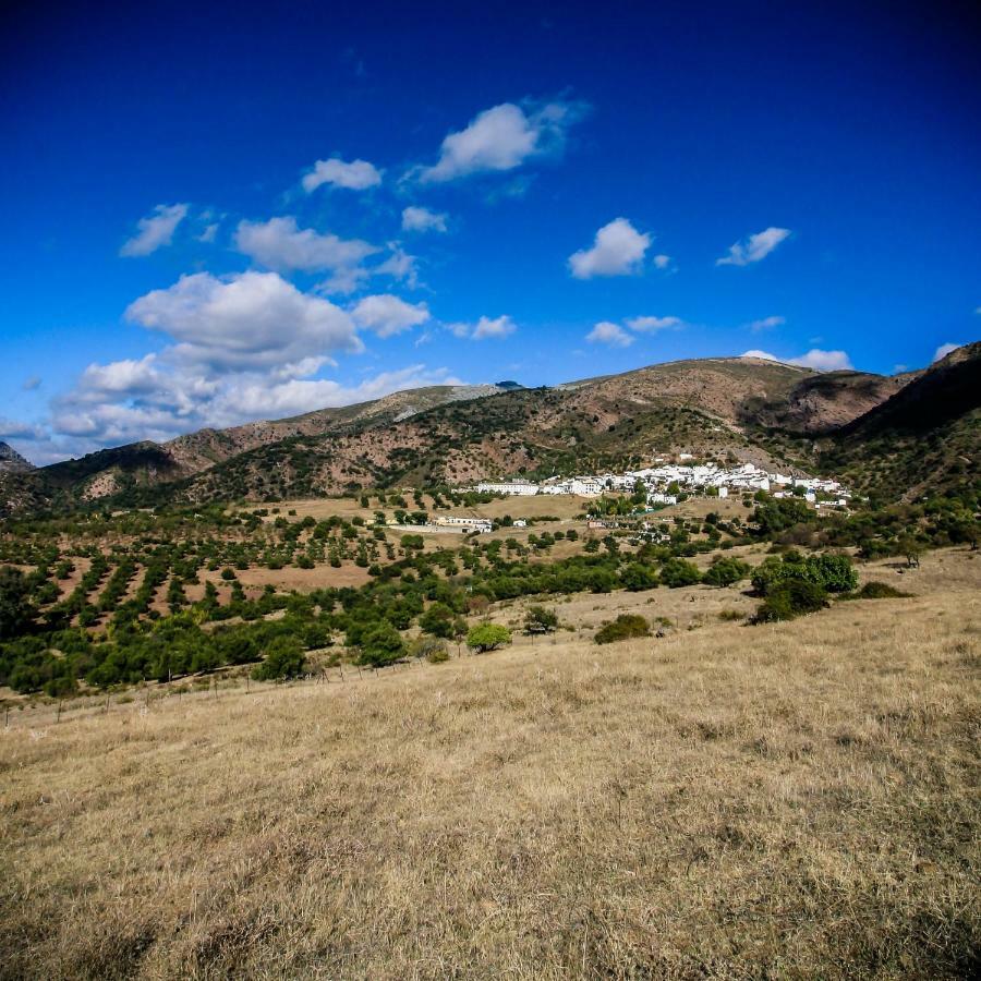 El Molino Del Panadero Pension Jimera de Líbar Buitenkant foto