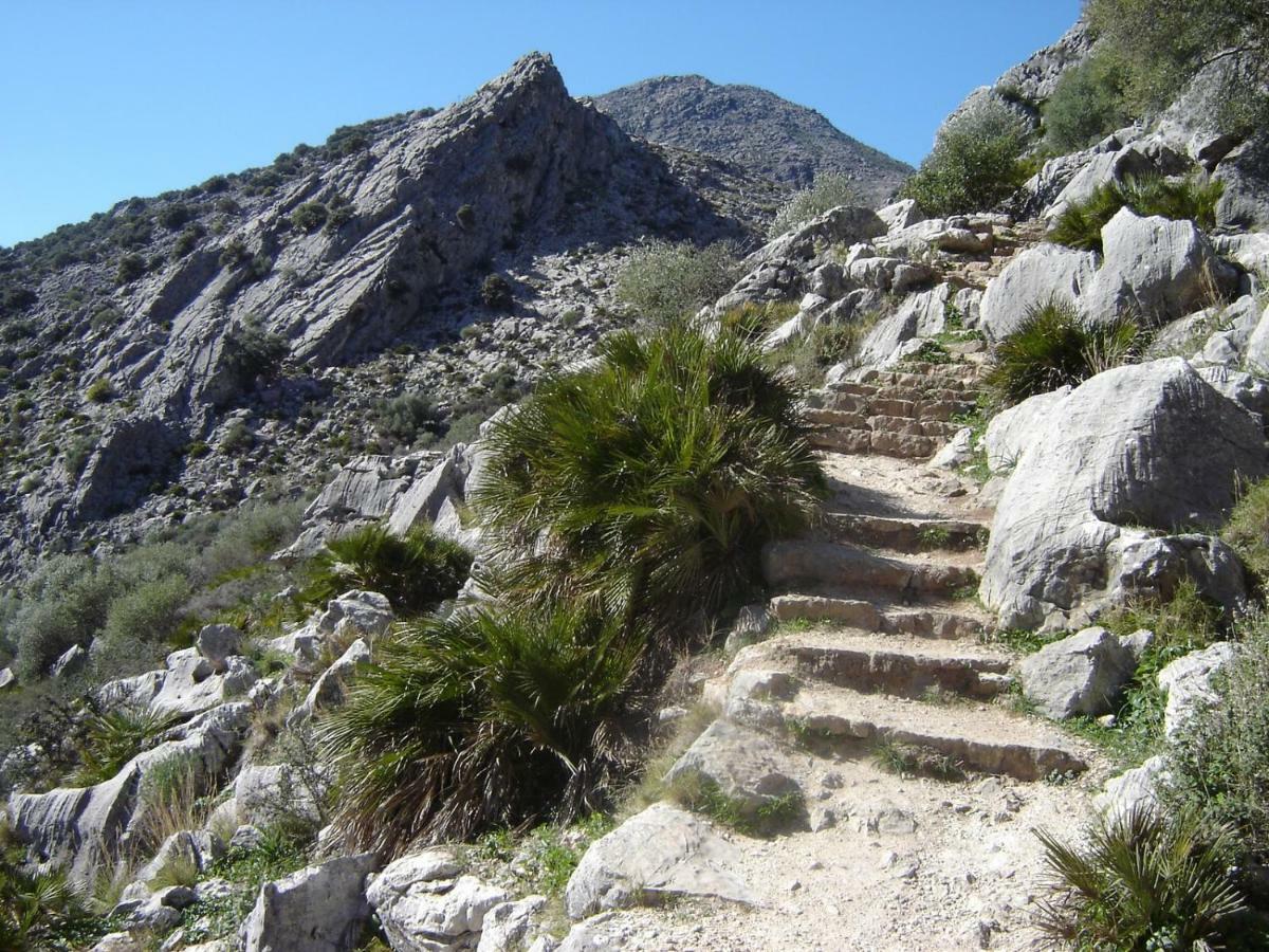 El Molino Del Panadero Pension Jimera de Líbar Buitenkant foto